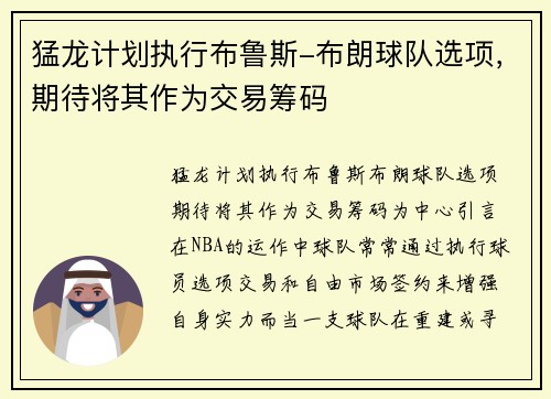 猛龙计划执行布鲁斯-布朗球队选项，期待将其作为交易筹码